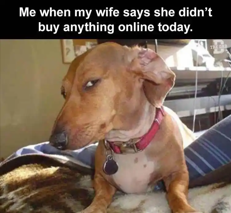 Side eye dog meme doubts wife's no online shopping claim