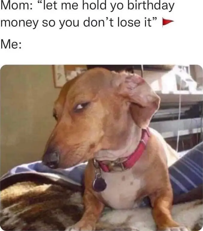Side eye dog meme doubt mom takes bday cash