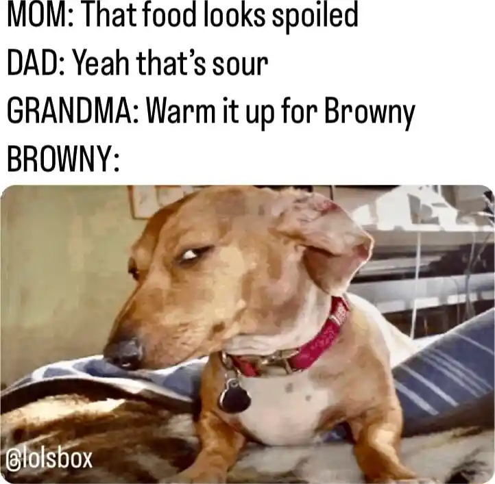 Side eye dog meme skeptical of spoiled food