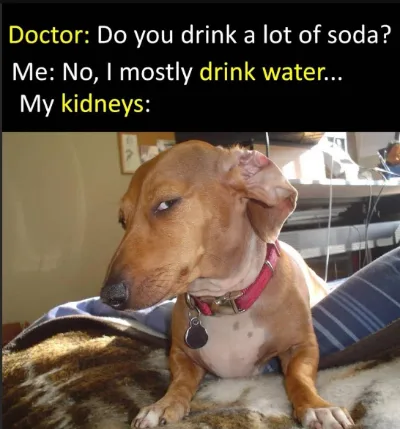 Side eye dog meme side-eyeing your soda lie