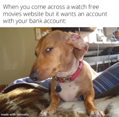 Side eye dog meme doubt free movie bank scam