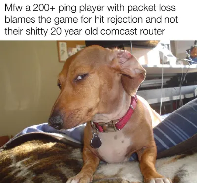 Side eye dog meme judging gamer over lag