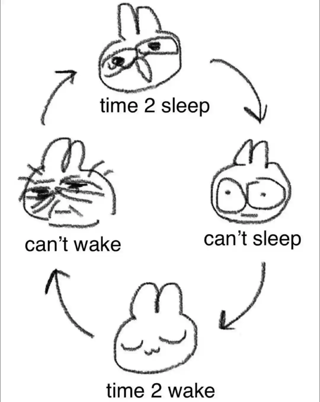 Sleep cycle meme can not sleep can not wake