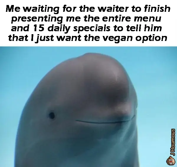 Smiling dolphin meme waiting for vegan order