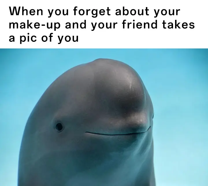 Smiling dolphin meme no makeup awkward pic