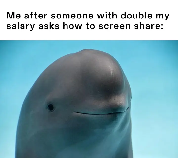 Smiling dolphin meme awkward at high pay screen share