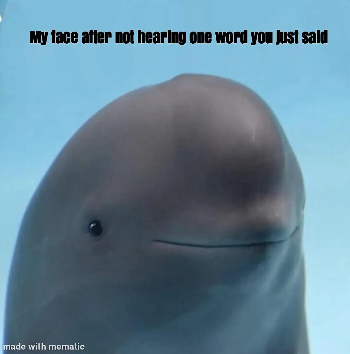Smiling dolphin meme feigning to listen
