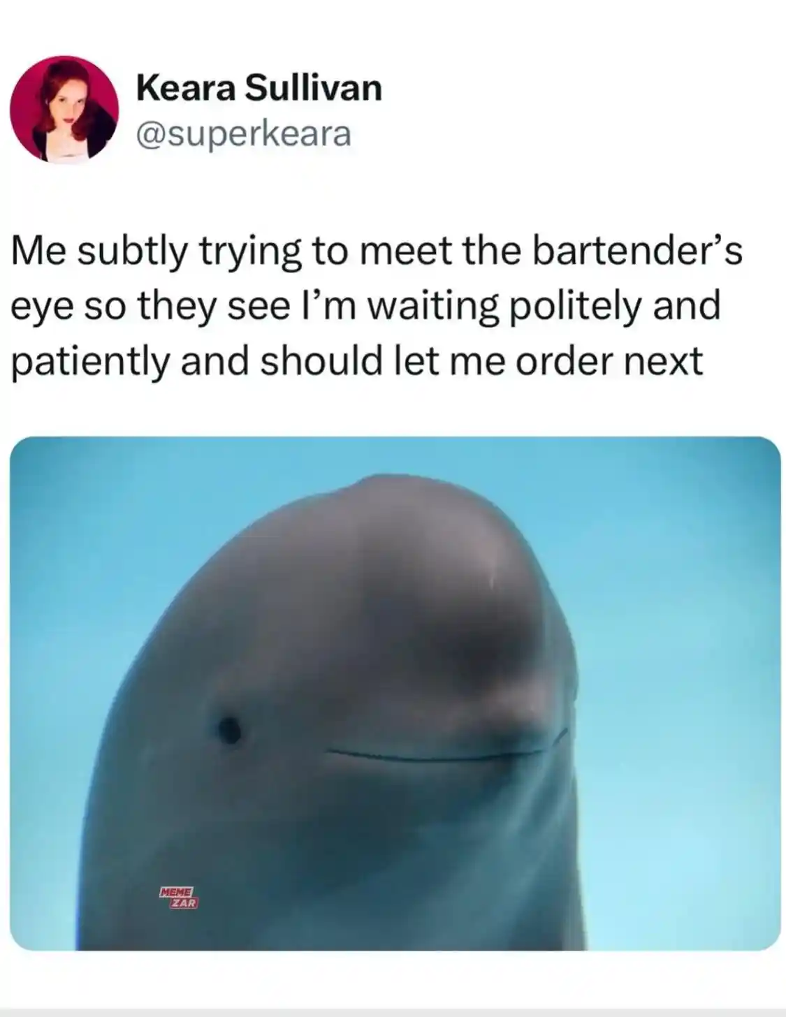 Smiling dolphin meme waiting politely to order
