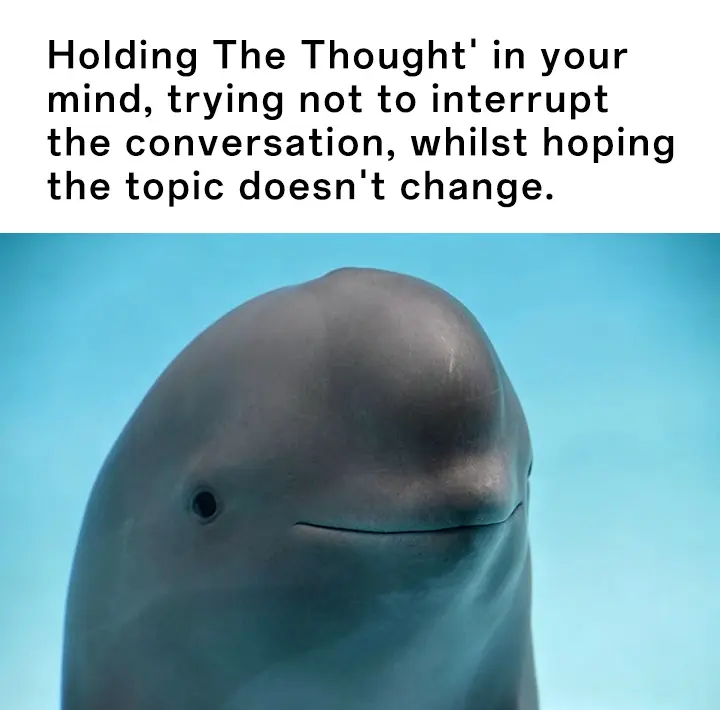 Smiling dolphin meme holding thought