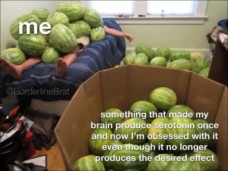 Me Obsessed meme buried in watermelons