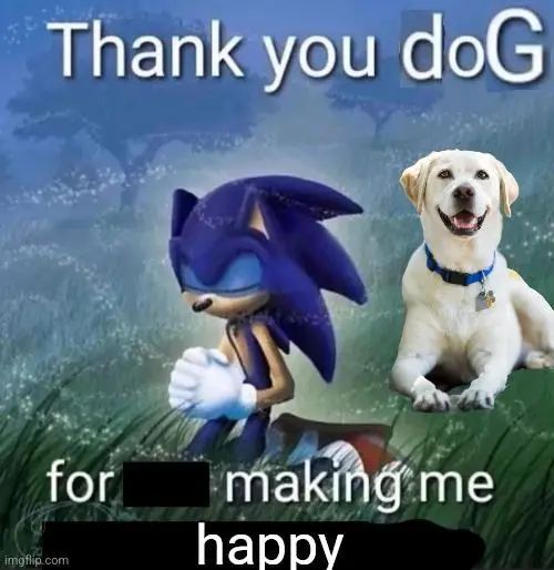 Sonic praying meme thanking dog for making me happy