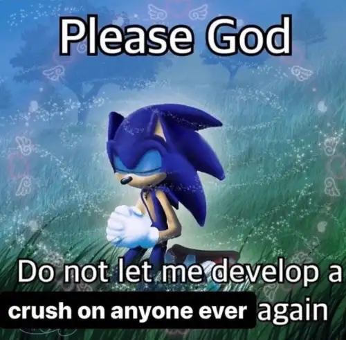 Sonic praying meme begging god no new crush ever