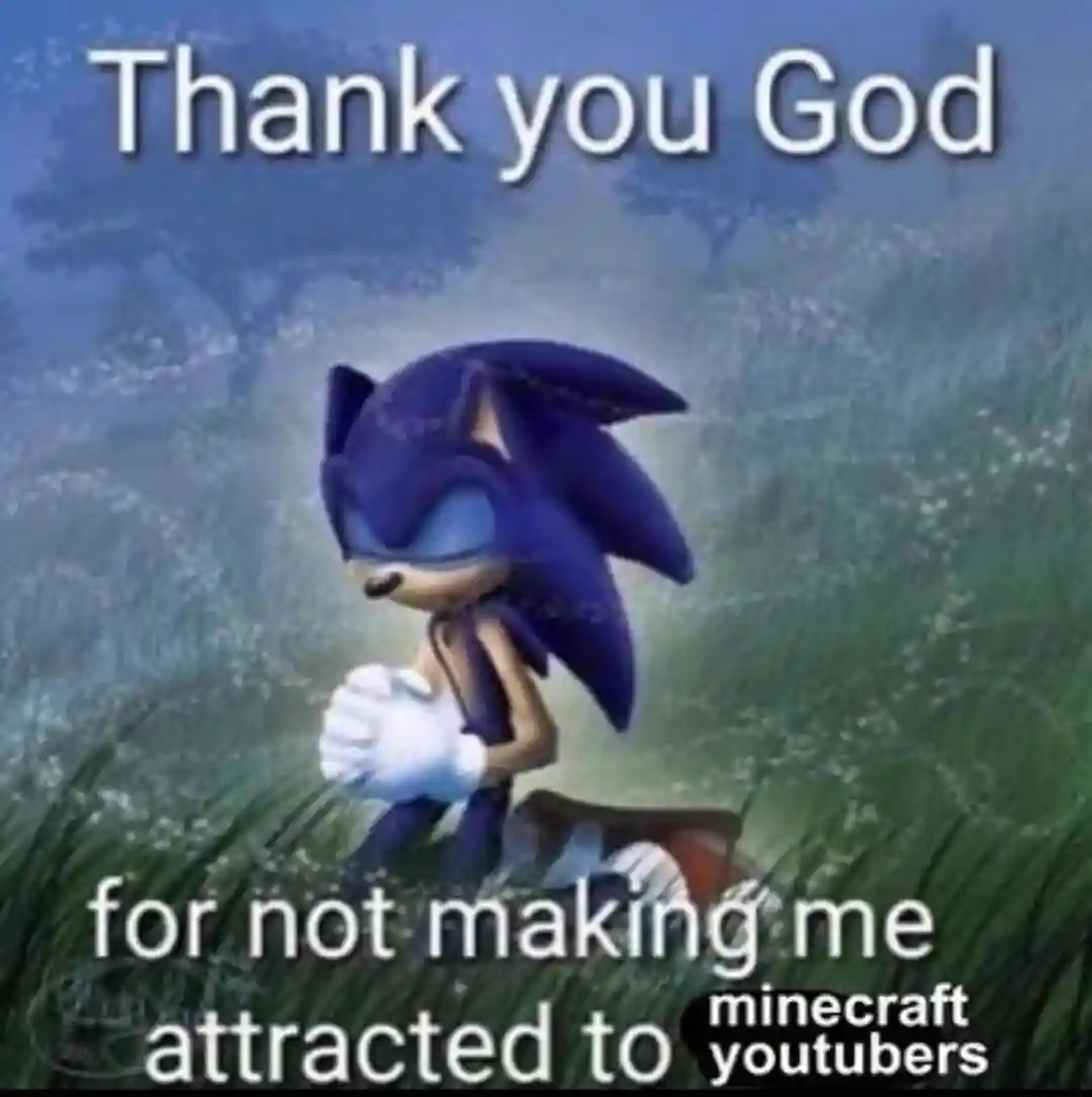Sonic praying meme thank god not attracted to minecraft youtubers