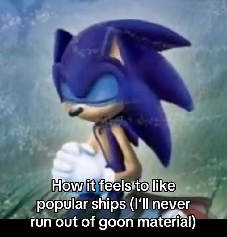 Sonic praying meme enjoying endless popular ship content