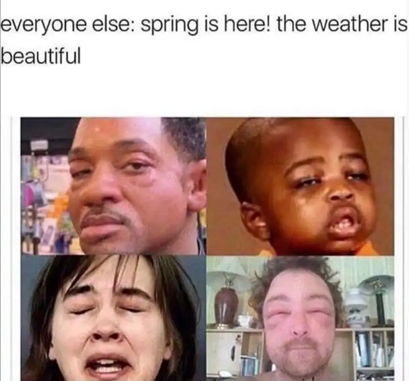 Spring allergy sufferers meme sad puffy faces