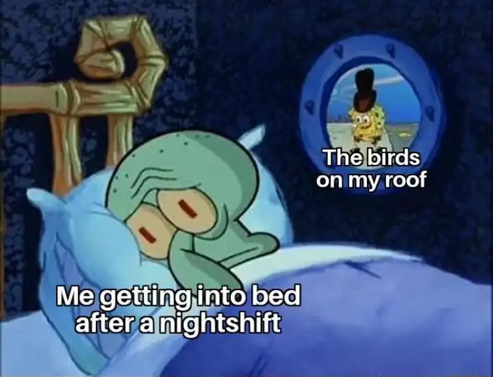 Squidward trying to sleep meme disturbed by birds after night shift