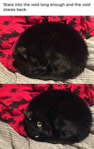 Black void cat meme staring back at you