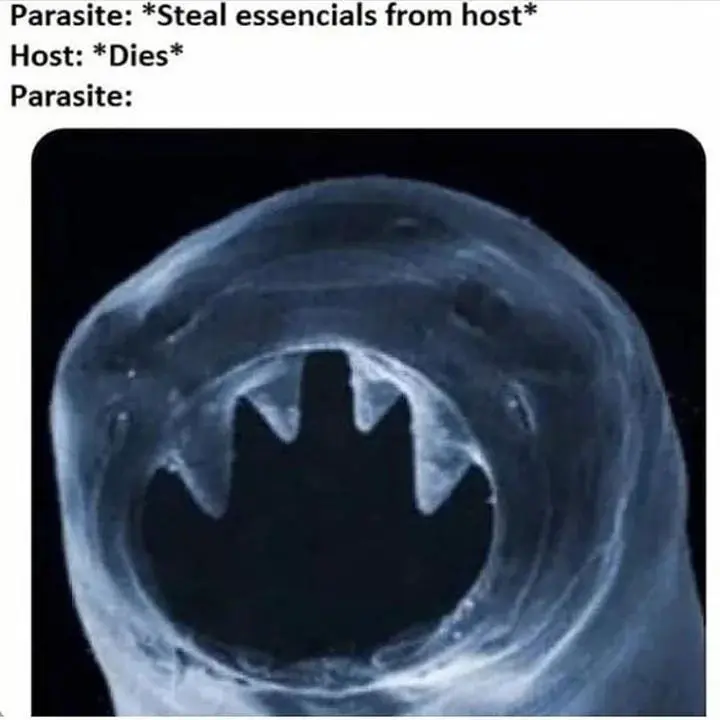 Parasite meme confused after host dies