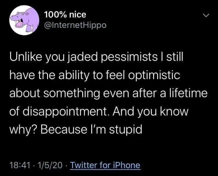 Stupid Optimism meme funny viral tweet