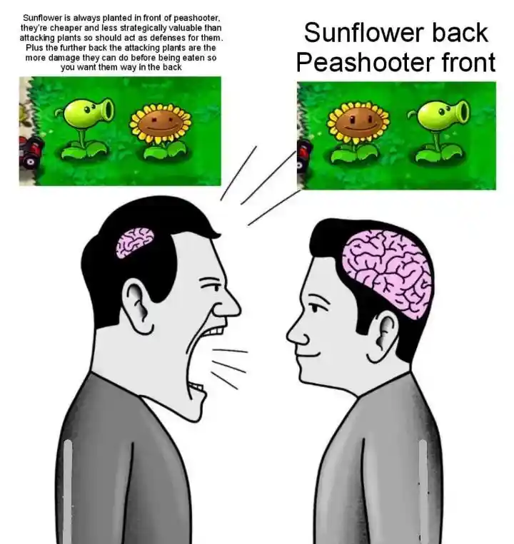 PVZ Meme Arguing Over Correct Plant Placement
