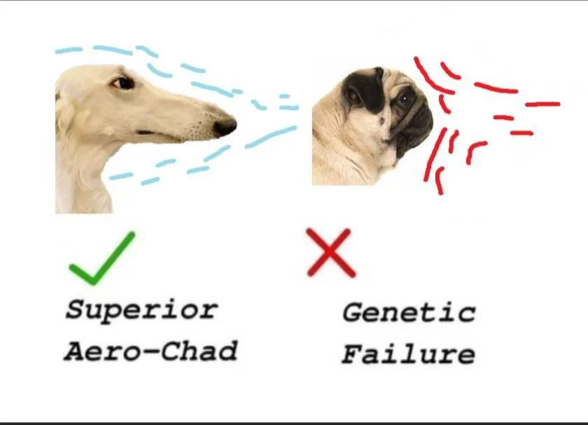 Aero Chad vs Pug meme comparing snout airflow