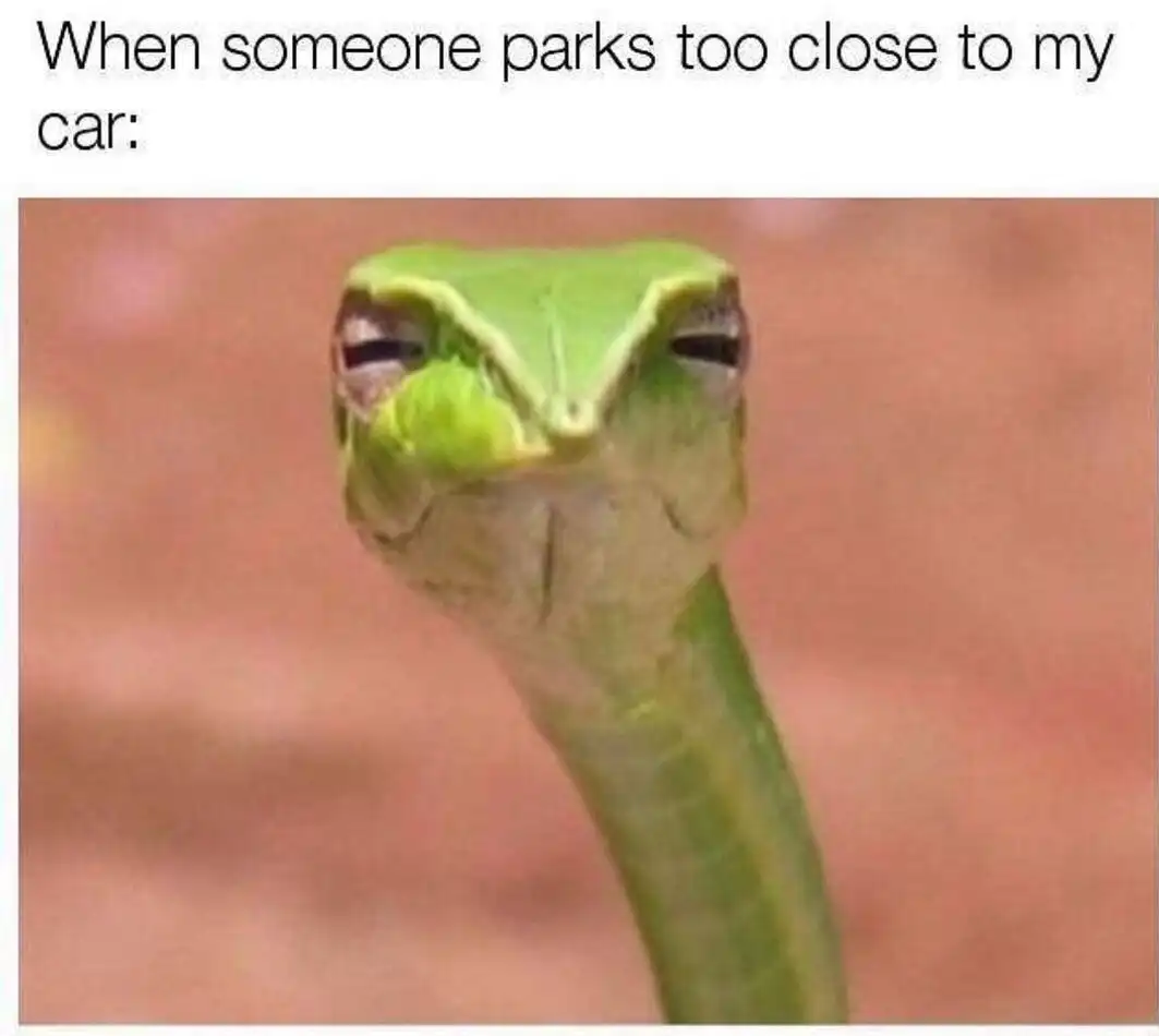 Suspicious snake meme Side eyeing too close parking