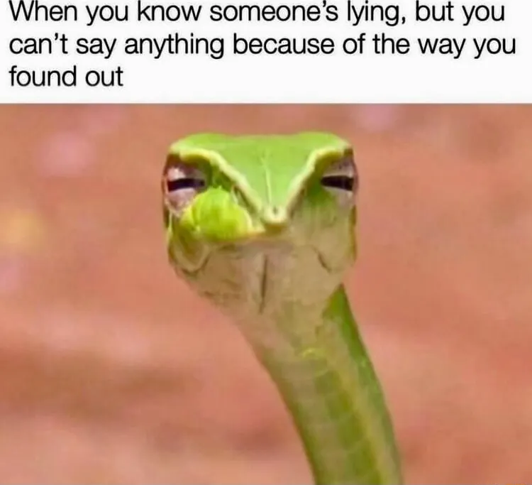 Suspicious snake meme side eyeing a liar