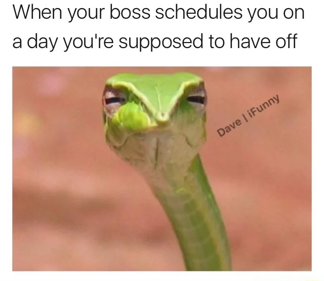 Suspicious snake meme mad at boss scheduling day off