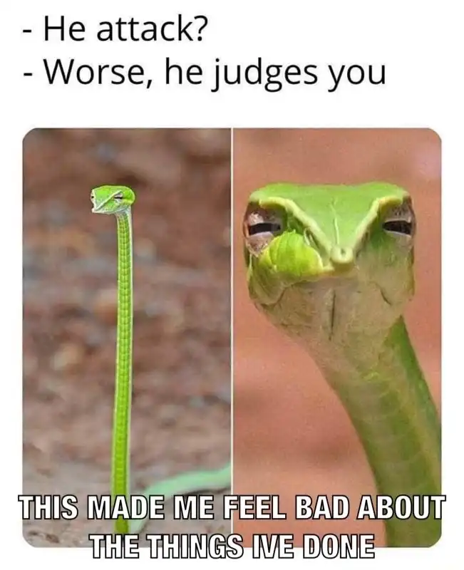 Suspicious snake meme stares and judges you