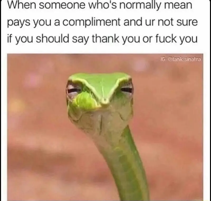 Suspicious snake meme doubting unexpected compliment