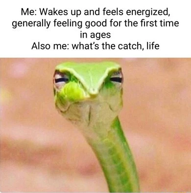 Suspicious snake meme doubting life has hidden catch