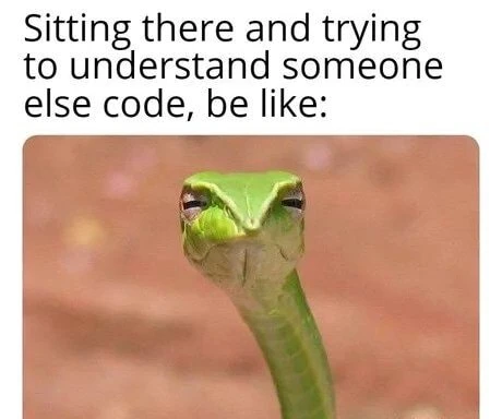 Suspicious snake meme confused by others code
