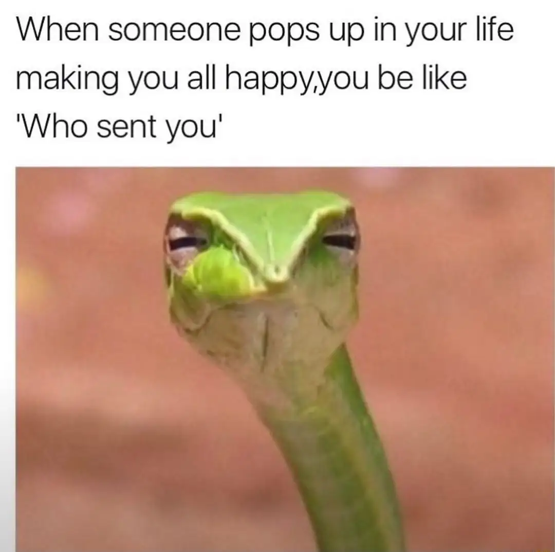 Suspicious snake meme asks who sent new person