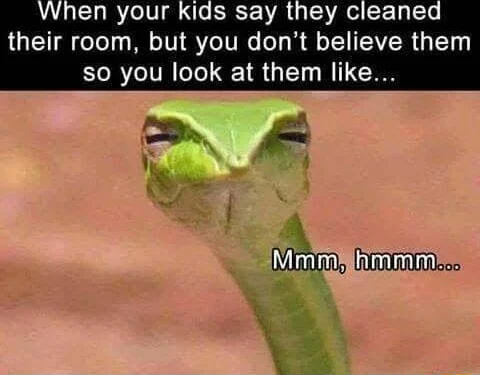 Suspicious snake meme doubts kid cleaned room