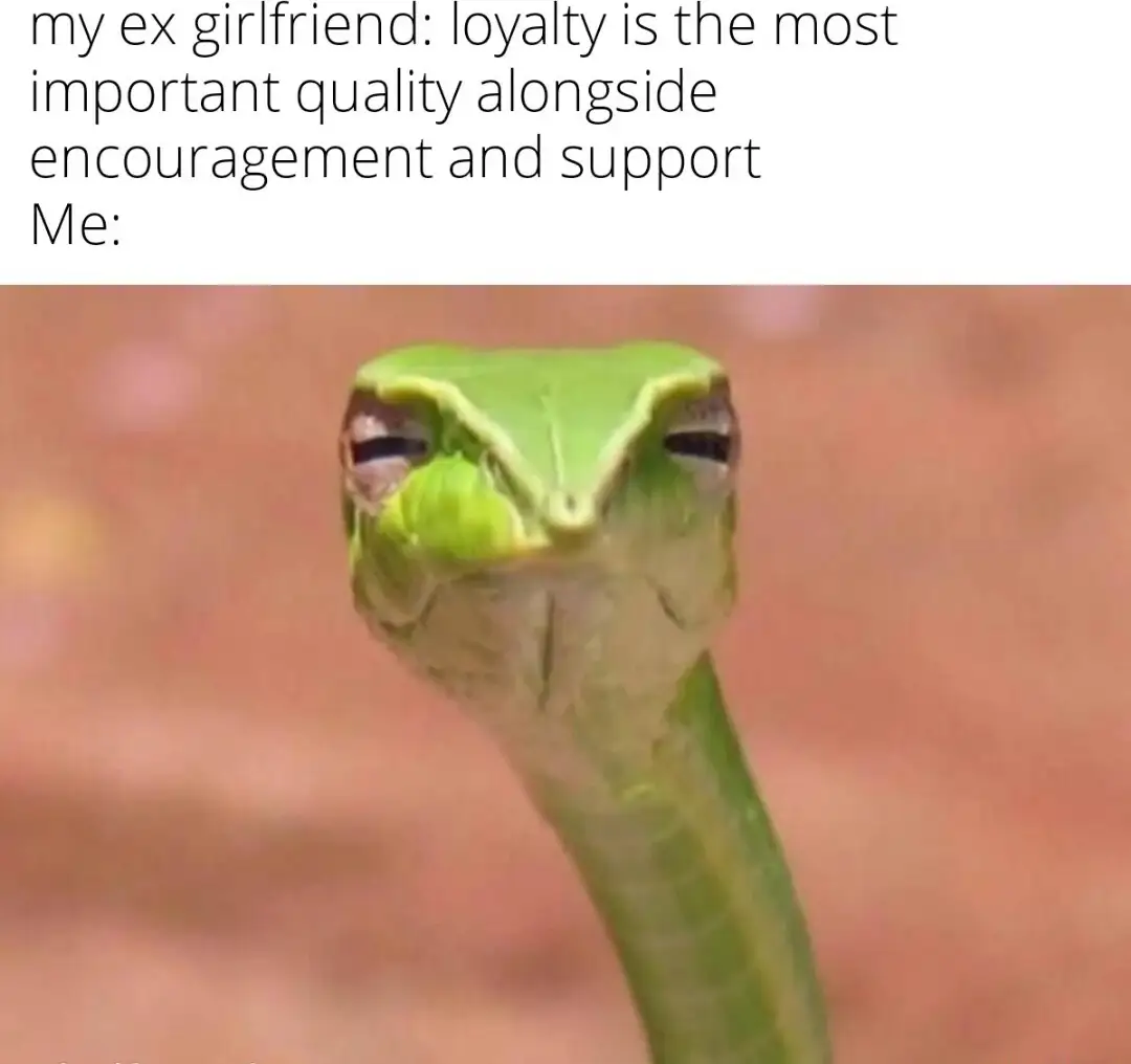 Suspicious snake meme doubts ex loyalty talk