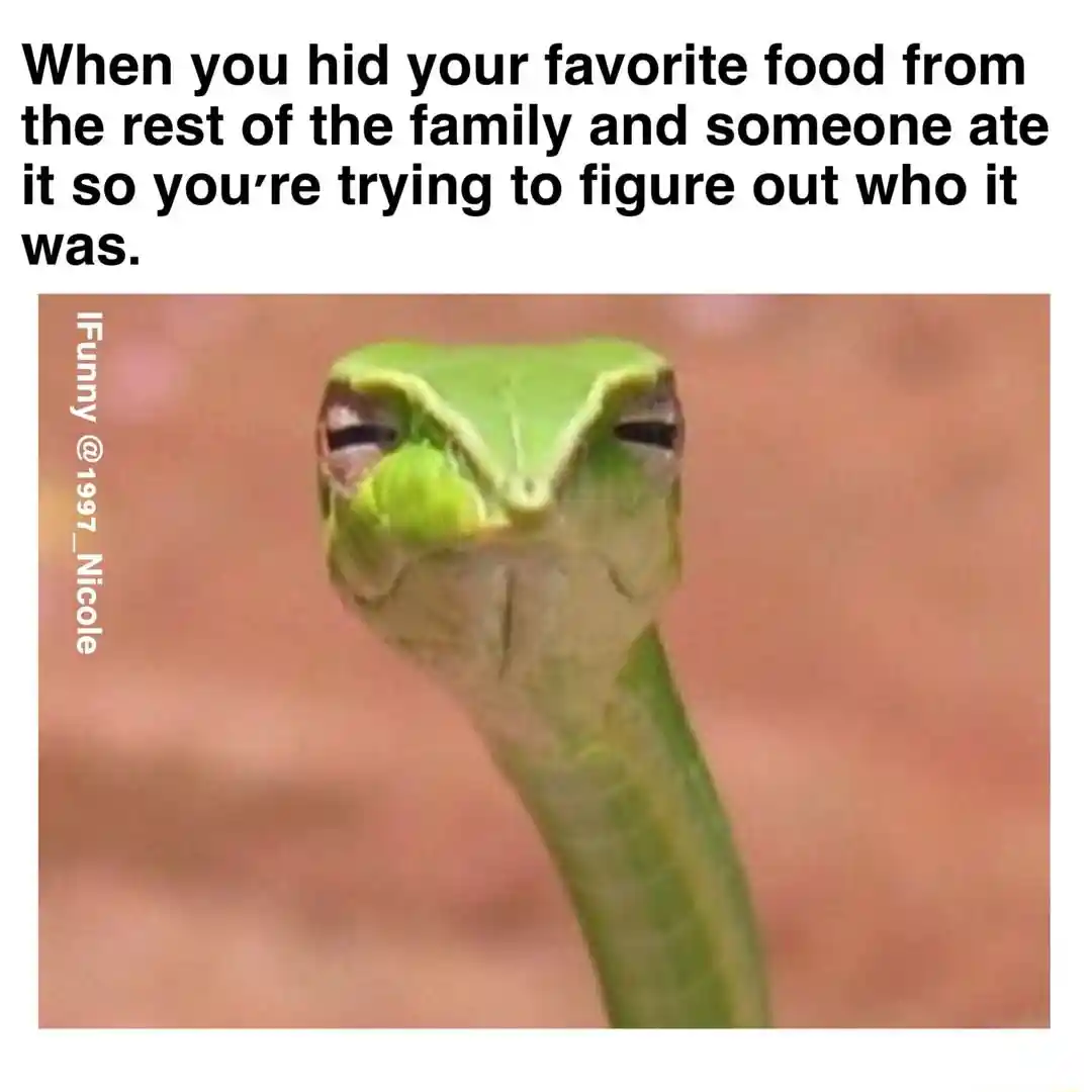 Suspicious snake meme looking for food thief