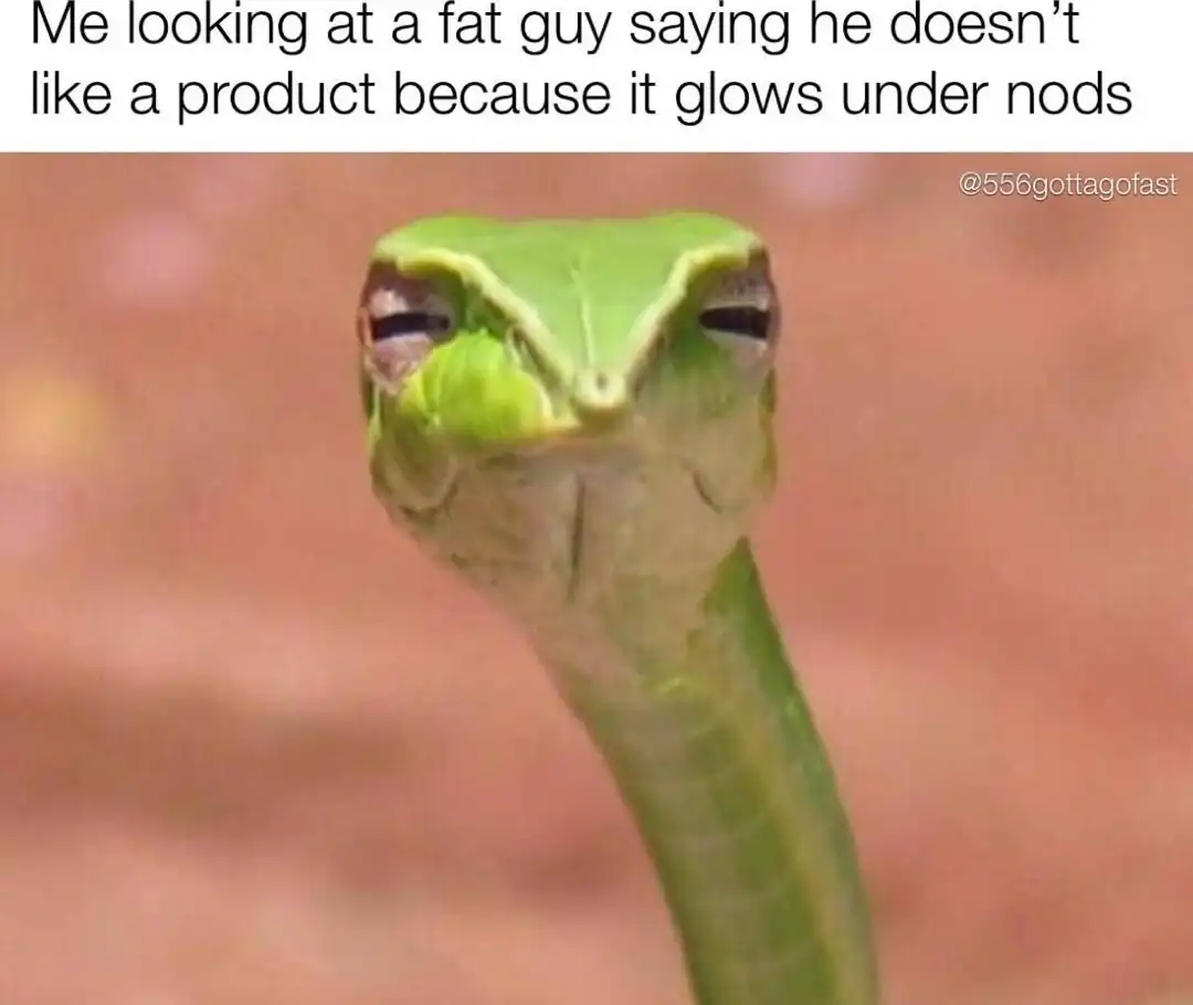 Suspicious snake meme judging product excuse