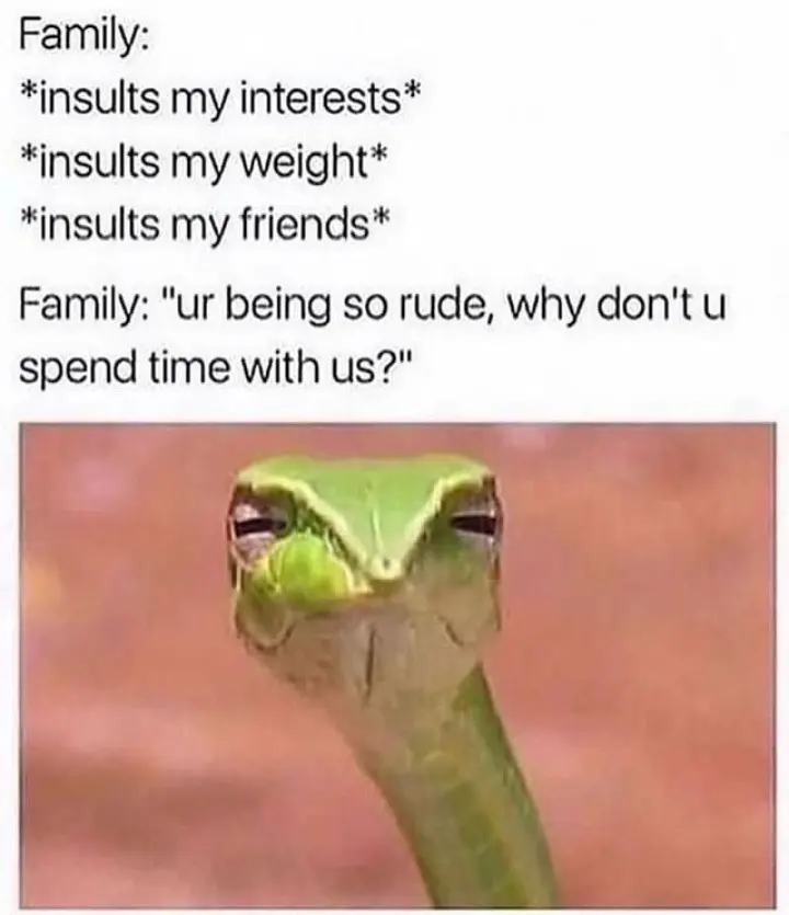Suspicious snake meme judging family hypocrisy