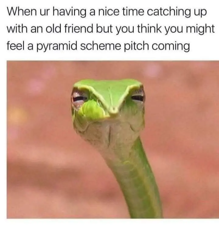 Suspicious snake meme wary of pyramid scheme pitch
