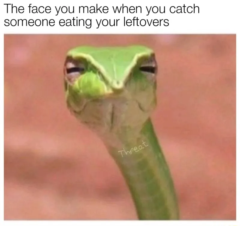 Suspicious snake meme catch someone eating your leftovers