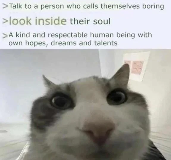Wide eyed cat meme seeing boring person inner depth