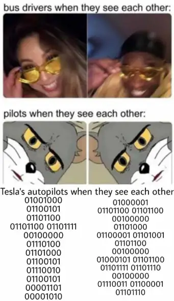 Bus drivers pilots tesla meme funny greetings