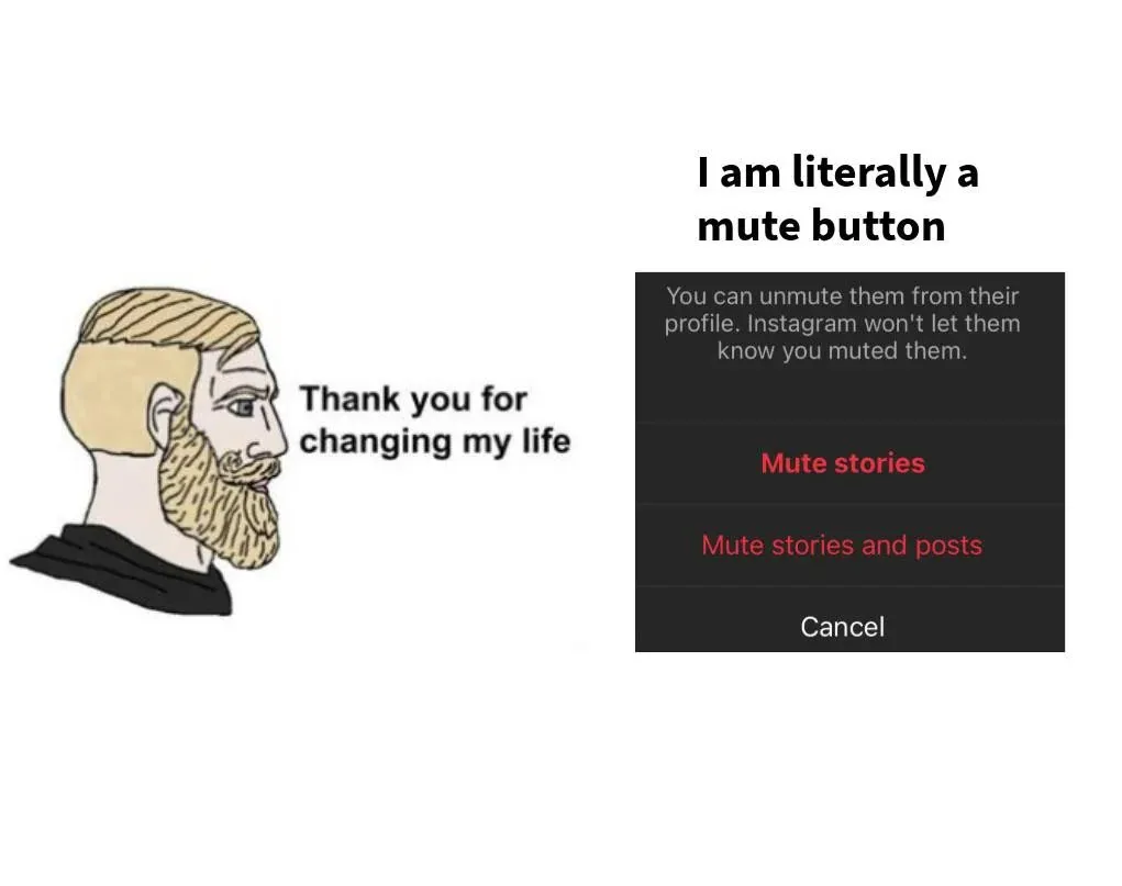 Instagram mute meme thanks for life change