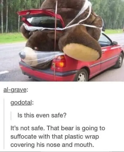 Giant teddy bear on car meme fun safety joke