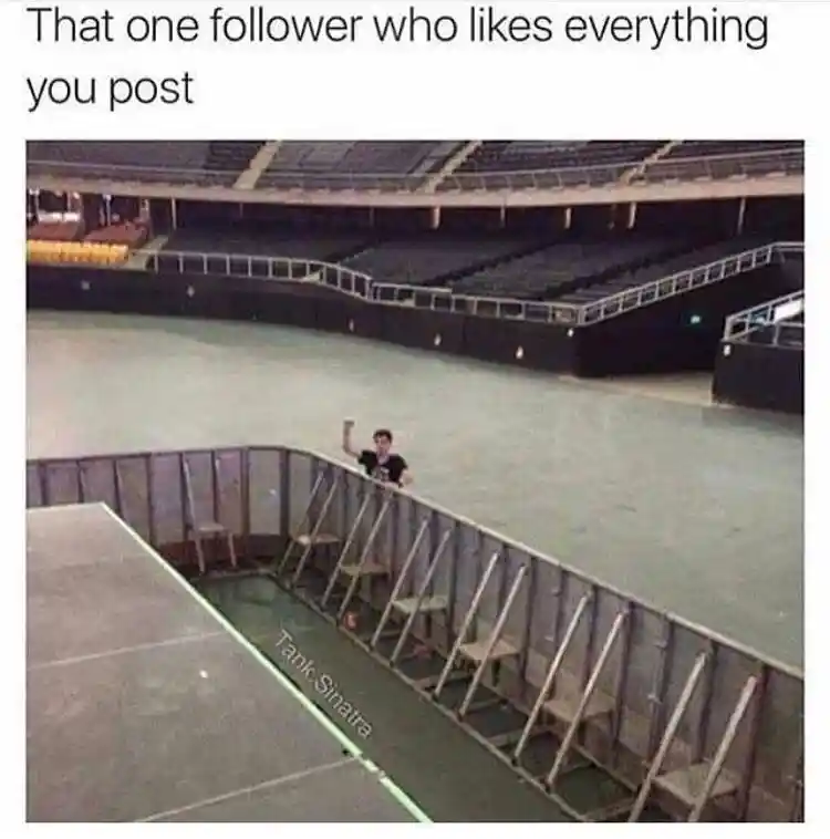 Follower meme likes all your posts solo
