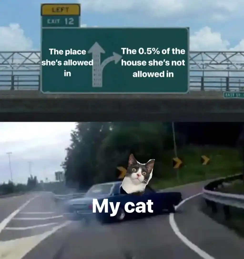 My cat meme swerving to restricted exit