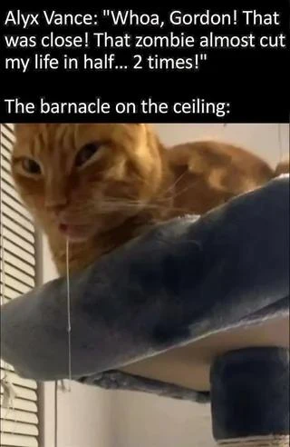 Half life barnacle meme drooling orange cat looking down