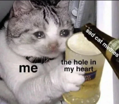 Sad cat memes meme filling hole in sad heart