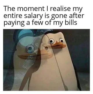Salary gone paying bills meme shocked penguin