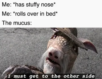 Stuffy nose mucus meme moves to other side